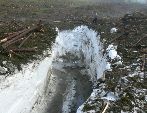 Masa sněhu s dřevem, 2. 6. 2009.