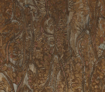 Požerek, sbírky ÚOLM.