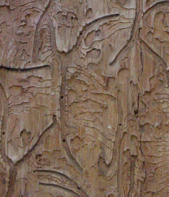 Požerek s větracími otvory, Němčice 2008.