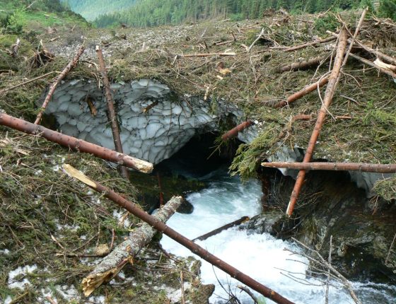 Tunely pod lavinou, 25. 6. 2009.
