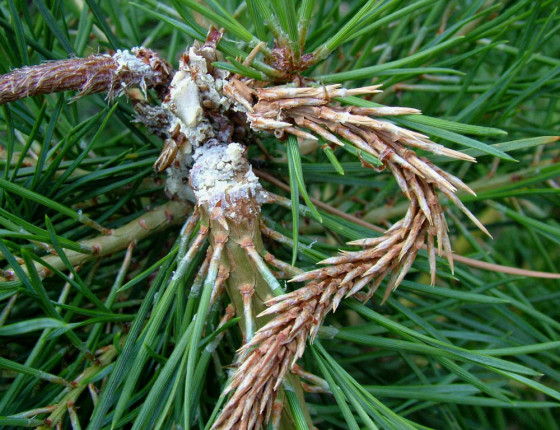 Zcela zničený terminál, Pardubice 2005.