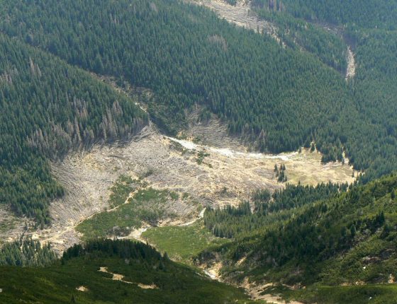 Polom po lavině v Račkovej doline, 10. 5. 2011.