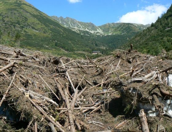 Letní pohled k Žiarskej chatě, 21. 8. 2009.