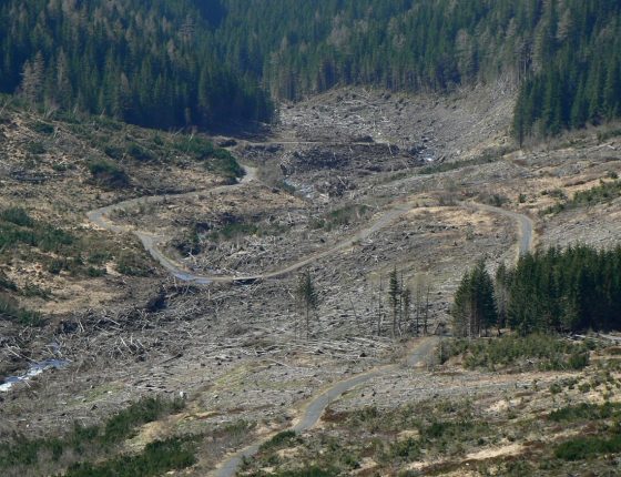 Spustošené dno Žiarskej doliny, 29. 4. 2010.