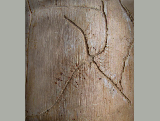 Požerek, sbírky ÚOLM.