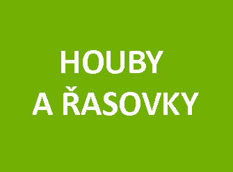 houby_a_rasovky